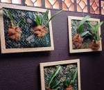 Tela Plástica Verde para Quadro Vivo para Orquideas, leguminosas