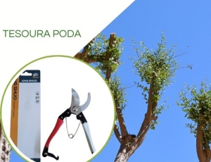 Tesoura de Poda Manual XS-8806A - Lâmina 8' - Xing Shuo