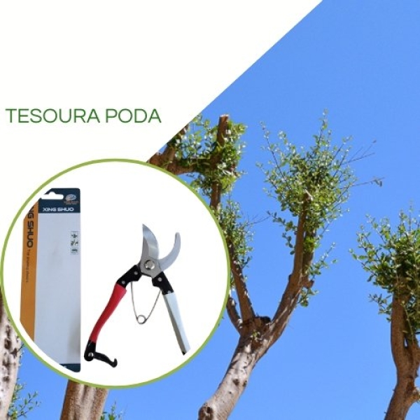 Tesoura de Poda Manual XS-8806A - Lâmina 8' - Xing Shuo
