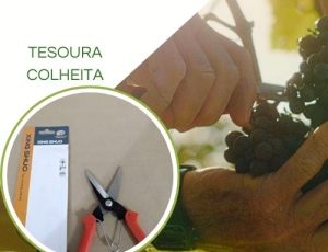 Tesoura de Colheita XS-8810A - Lâmina 7,5' - Xing Shuo