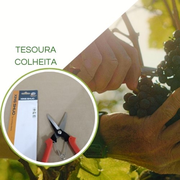 Tesoura de Colheita XS-8810A - Lâmina 7,5' - Xing Shuo