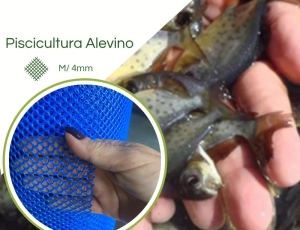 Tela Psicultura 4MM 2X50 Azul PEAD Peixe Alevino Atóxica