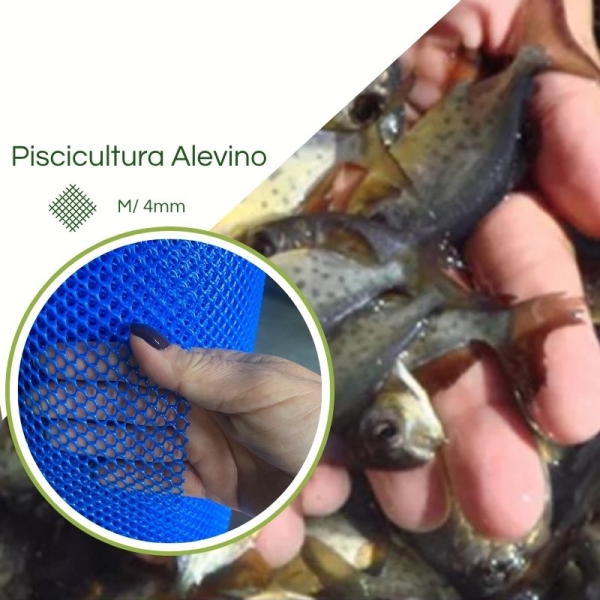 Tela Psicultura 4MM 2X50 Azul PEAD Peixe Alevino Atóxica