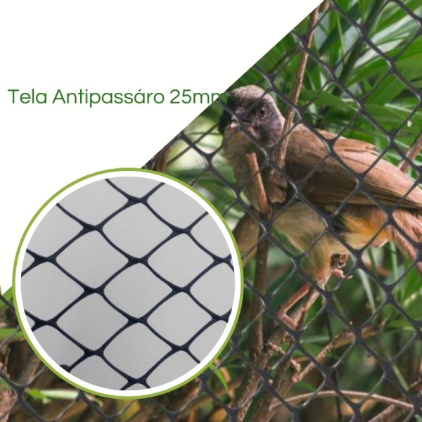Tela anti-pássaro 25 mm