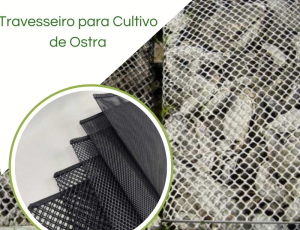 Travesseiro para o cultivo de ostras 21mm