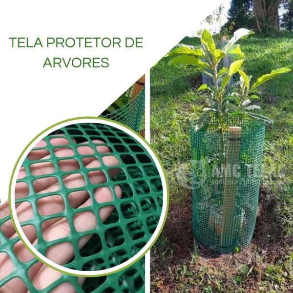 Tela Protetor de Árvores