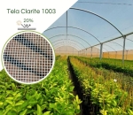 Clarite 1003 Citrus 20% 
