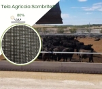 Sombrite® 1008 80% Equipesca Nylon 