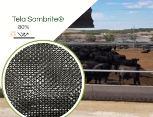 Sombrite® 1008 80% Equipesca Nylon 