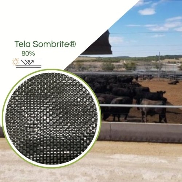 Sombrite® 1008 80% Equipesca Nylon 