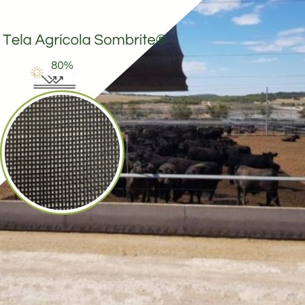 Sombrite® 1008 80% Equipesca Nylon 