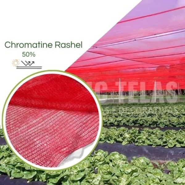 Chromatinet Vermelha 50% Tela de Sombreamento