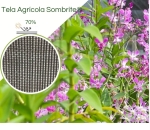 Sombrite® 1007 70% Equipesca Nylon 