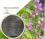 Sombrite® 1007 70% Equipesca Nylon 