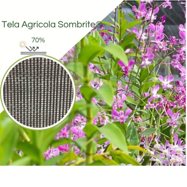 Sombrite® 1007 70% Equipesca Nylon 