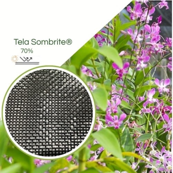 Sombrite® 1007 70% Equipesca Nylon 