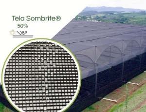 Sombrite® 1005 50% Equipesca Nylon 