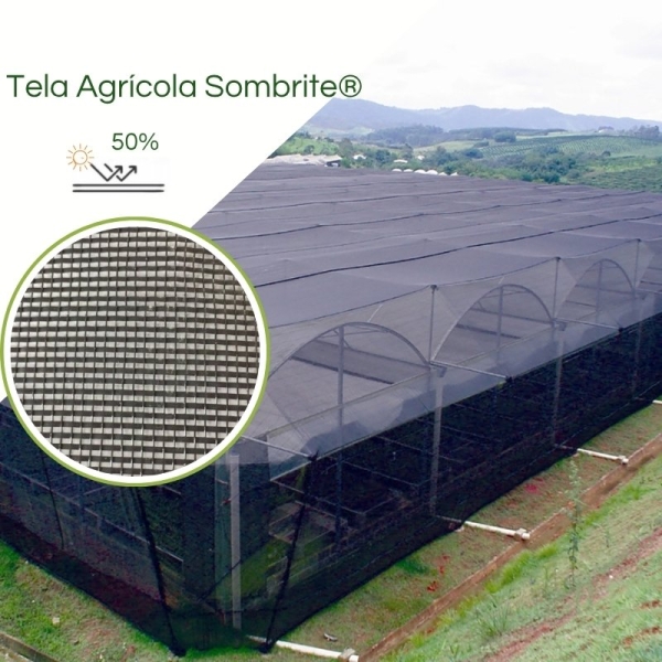 Sombrite® 1005 50% Equipesca Nylon 