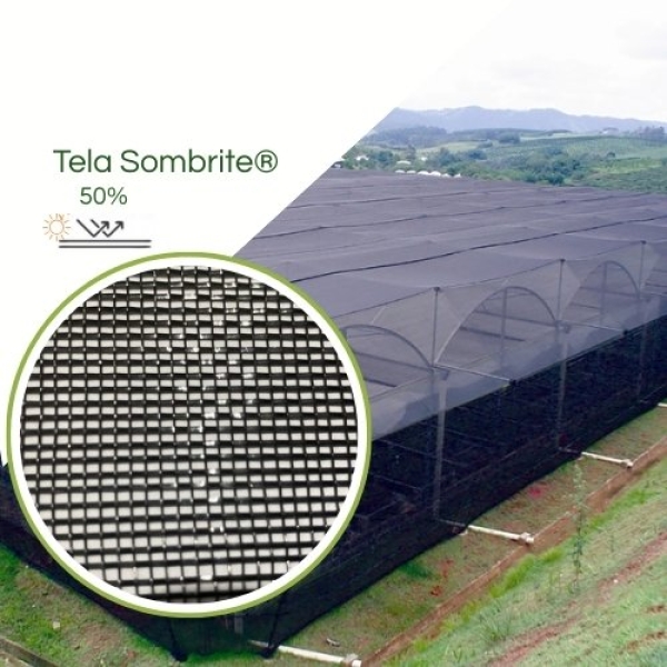 Sombrite® 1005 50% Equipesca Nylon 