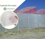 Tela Antiafídeo Optinet 40 mesh
