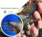 Tela Piscicultura Peixe Alevino Aquário EB44/M4mm  Azul
