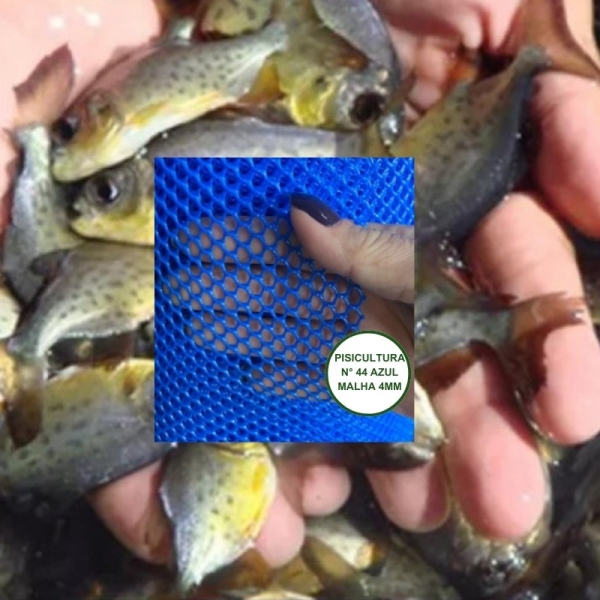 Tela Piscicultura Peixe Alevino Aquário EB44/M4mm  Azul
