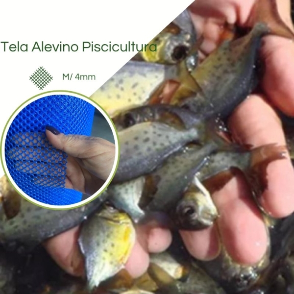 Tela Piscicultura Peixe Alevino Aquário EB44/M4mm  Azul