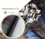 Tela Piscicultura Criação Alevinos N° 14