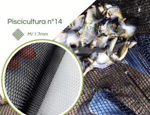 Tela Piscicultura Criação Alevinos N° 14