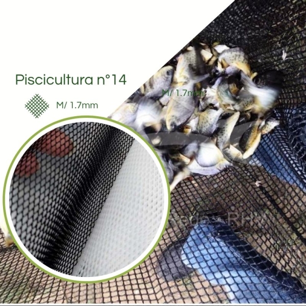 Tela Piscicultura Criação Alevinos N° 14