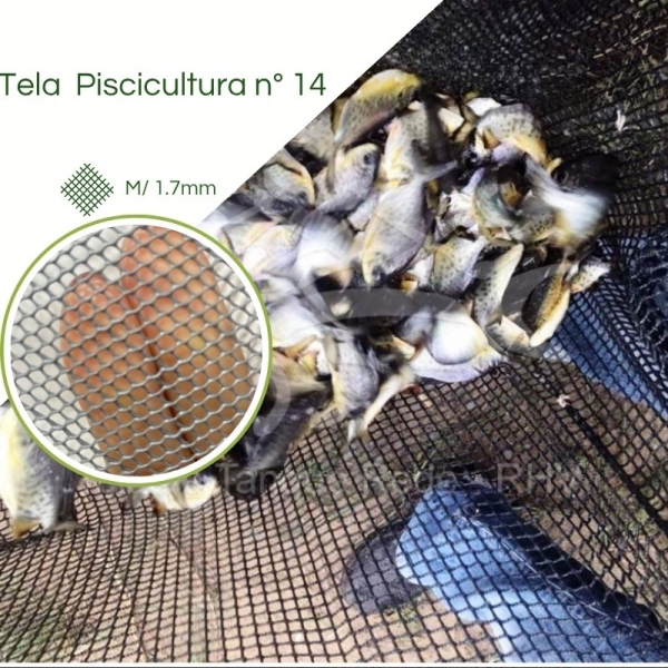 Tela Piscicultura Criação Alevinos N° 14