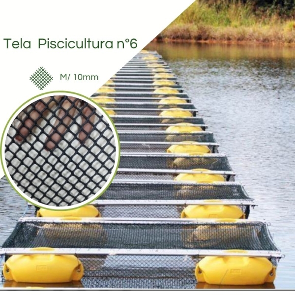 Tela Piscicultura Criação Alevinos N° 06