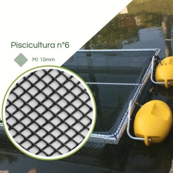 Tela Piscicultura Criação Alevinos N° 06