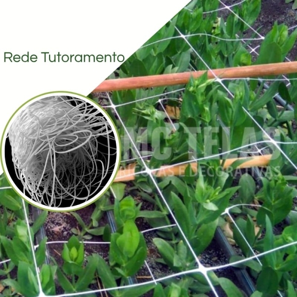 Rede Tutoramento (Branca)