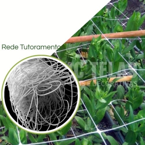 Rede Tutoramento (Branca)