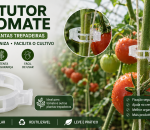Clipe Tomate Anel De Tutoramento Tomate