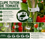 Clipe Tomate Anel De Tutoramento Tomate