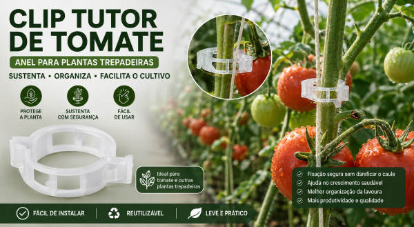 Clipe Tomate Anel De Tutoramento Tomate