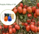 Fitilho/Polyfioem Polietileno 01 Apara N° 05