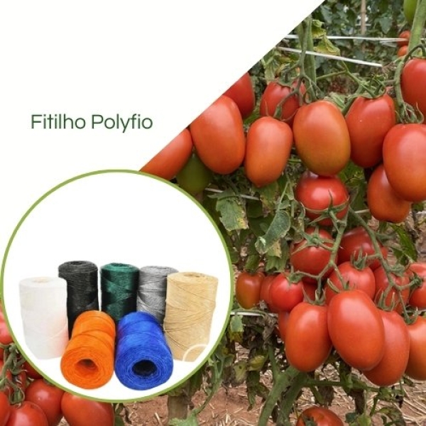 Fitilho/Polyfioem Polietileno 01 Apara N° 05