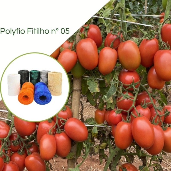 Fitilho/Polyfioem Polietileno 01 Apara N° 05