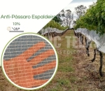 Tela Espaldeira  c/ Aurela  Anti-pássaros 10% 