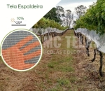 Tela Espaldeira  c/ Aurela  Anti-pássaros 10% 