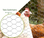 Tela Hexagonal Galinheiro  Fio 23 