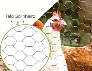 Tela Hexagonal Galinheiro  Fio 23 