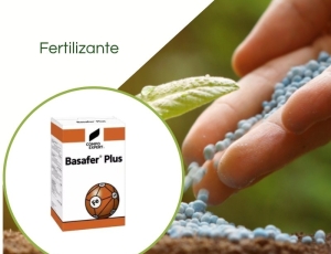 Fertilizante Basafer Plus ® 6%Fe - Saco 1 Kg