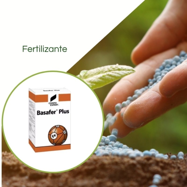 Fertilizante Basafer Plus ® 6%Fe - Saco 1 Kg