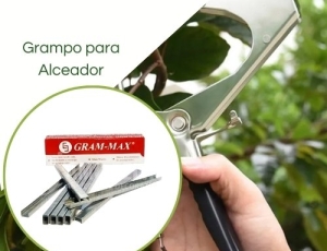 Grampos para Alceador GramMax 6/4B Caixa com 4.800 unidades