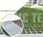 Bandeja Para Germinação  Carluccio