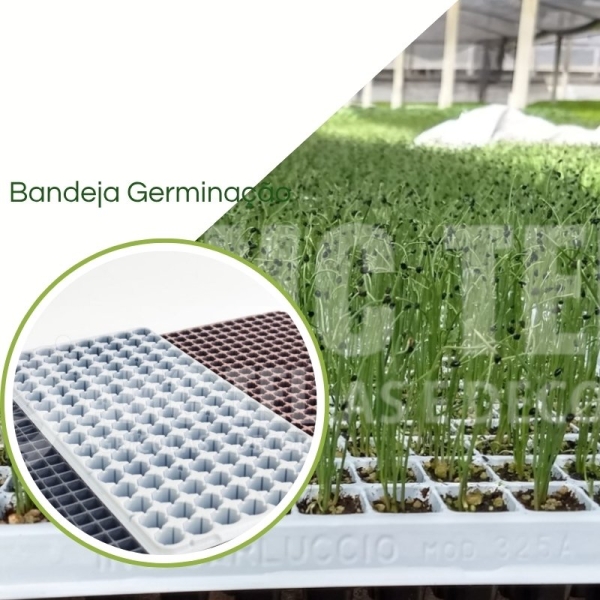 Bandeja Para Germinação  Carluccio
